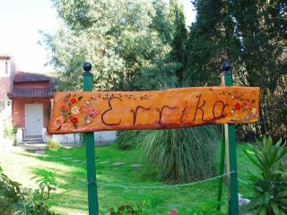 Errika - Ipsos - 5