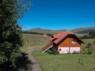 Apartment Studenac - Zlatibor - 5