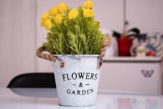 Butterfly Apartment-Hidden Gem in the Heart of Targu Mures - 3