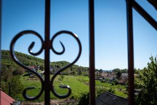 Szigligeti Mandula Kert Vendégház - 8