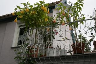 TerasenAppartement - Worms - 1