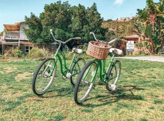 The Nest - Knysna - 3