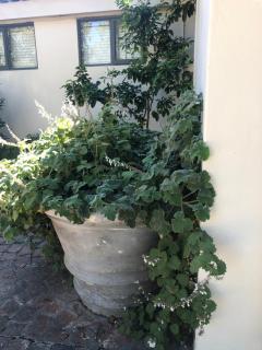 Just a Bed - Stellenbosch - 4