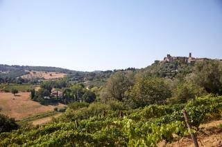 Agriturismo La Baroncella - Montemerano - 7