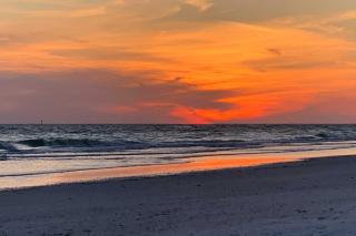 Lido Key Hideout with Patio and Yard and Walk to Beach! - 9