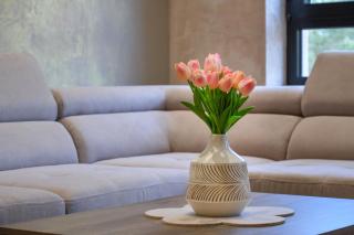 Gold lux Apartman - Zlatibor - 3