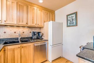Cornet Creek 101 - Cornet Ski House - Telluride - 4