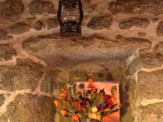 Gîte cosy et lumineux avec fourneau, terrasse, parking, proche de Montbrison, accepté animaux - FR-1-496-16 - Essertines-en-Châtelneuf - 8