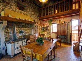 Gîte cosy et lumineux avec fourneau, terrasse, parking, proche de Montbrison, accepté animaux - FR-1-496-16 - Essertines-en-Châtelneuf - 9