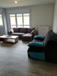 Joli appartement résidentiel à Troyes - Troyes - 7