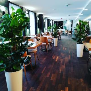 Arena Hotel Spa & Wellness - Tychy - 5