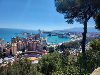 Pedregalejo Room - Málaga - 5