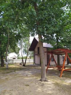 Чорний лелека - Svityazʼ - 0