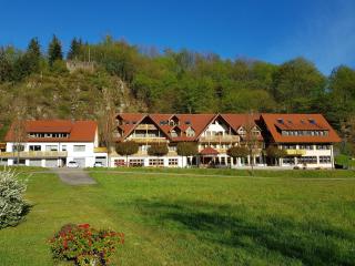 Hotel Walkenstein - Oberwolfach - 0