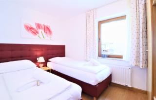 Chalet Schmittenbach - Pinzgau Holidays - 1