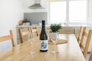 Positive sport apartments - Kobarid - 8