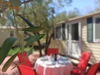 Camping Torkul - Kraj - 6