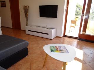 Apartment Erika - Premantura - 9