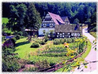 Ferienhof Richard - Lennestadt - 8