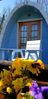 Glamping at Treegrove - Kilkenny - 7