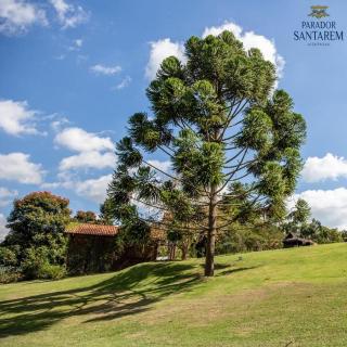 Pousada Parador Santarém - Itaipava - 5