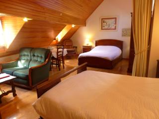 LA Bouigane - Saint-Lary-Soulan - 4