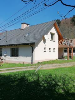 Agroturystyka pod kasztanem - Lutowiska - 2