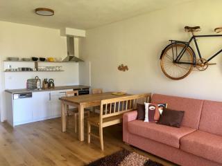 Apartmán U Kola na Brčálníku - Hojsova Stráž - 5