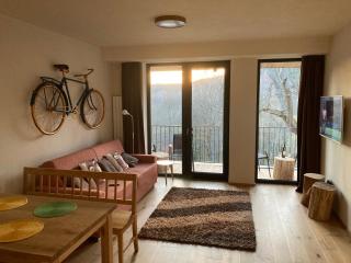 Apartmán U Kola na Brčálníku - Hojsova Stráž - 7