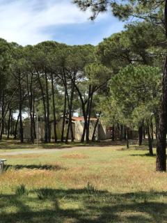 Oh! Campings - La Tamarissière Agde - 1