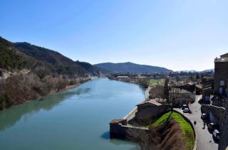 La Salamandre de l Olivier - le Mimosa - 2