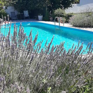 apartman Marija 2 - 4