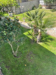 B&B Alba - SantʼAnastasia - 3