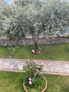 B&B Alba - SantʼAnastasia - 1