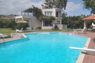 Mega pool and BBQ villa - 0