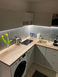Perfect Stay - "Apartament Salvador" - Toruń - 1