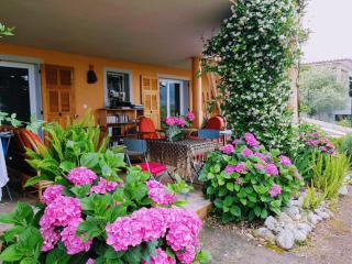 Gîte L'Appart de Case Vanille - Sari-Solenzara - 0