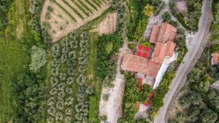 Tavern di Arqua' - Arquà Petrarca - 8