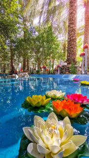 ALBERI LODGE - Hatta - 7