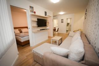 Apartman NIKA 1 - Vrnjačka Banja - 9