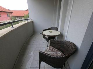 Apartman NIKA 1 - Vrnjačka Banja - 4