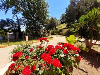 Villa Silvia - 4