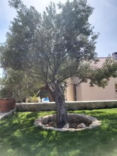 Villa Paula - Lun - 7