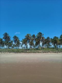 Apto. Vila dos Lírios - Reserva Imbassai - 8