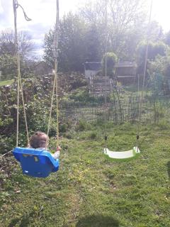DINANT La Bergeronnette avec la chaleur du feu de bois et le jardin - 9