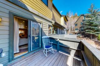 Spacious Mountain Retreat - 4