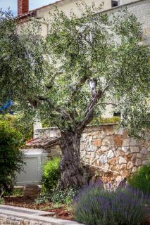 Apartments Balach - 8