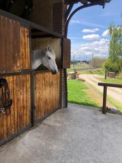 B&B Tenuta Legnate - Sesto Calende - 7