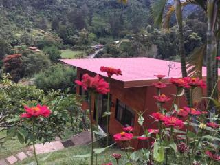 Navarro mountain - Cartago - 7