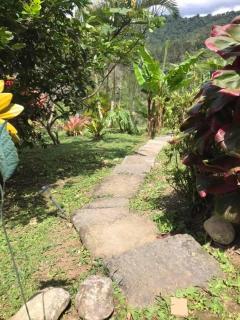 Navarro mountain - Cartago - 6